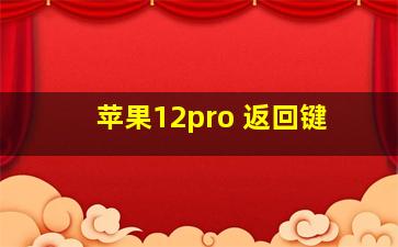 苹果12pro 返回键